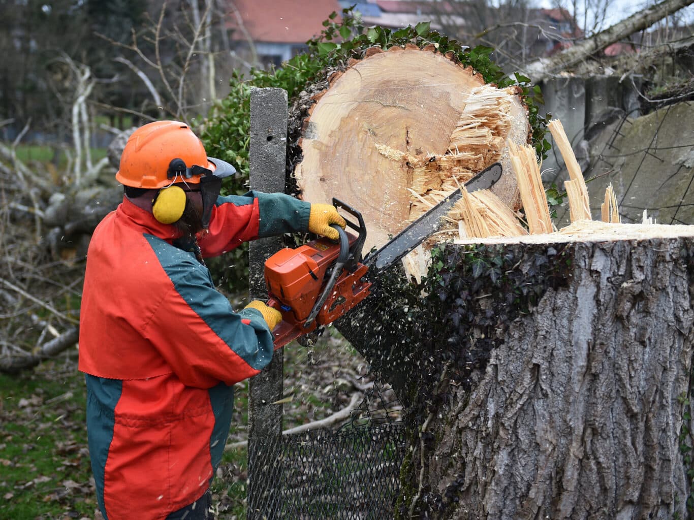 Baumfällung_Betriebskosten